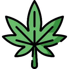 Phothosynthesis cannabis club tenerife